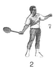 Badminton graphics