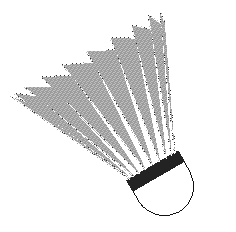 Badminton graphics