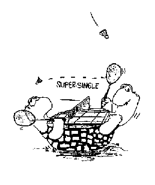 Badminton graphics