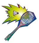 Badminton graphics