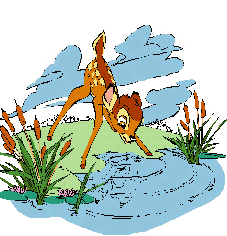 Bambi graphics