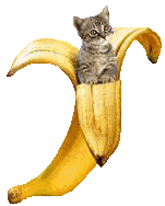 Bananas graphics