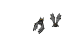 Bats graphics