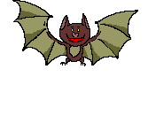 Bats graphics