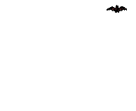Bats graphics