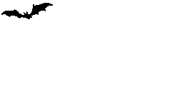 Bats graphics