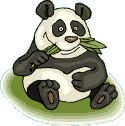 Bears panda graphics