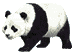 Bears panda