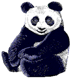 Bears panda