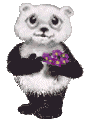 Bears panda