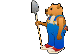 Bears graphics