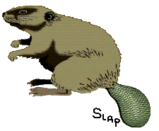 Beavers graphics