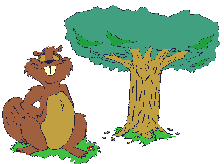 Beavers graphics