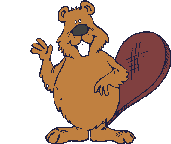 Beavers graphics
