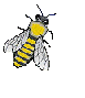 Bees graphics