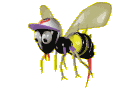 Bees graphics