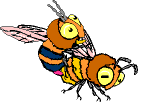 Bees graphics