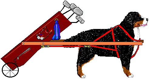 Bernese mountain dog graphics