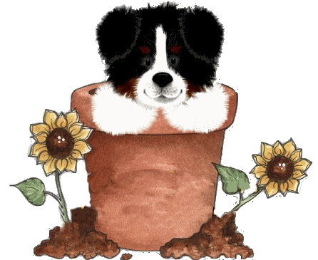 Bernese mountain dog graphics