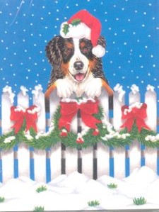 Bernese mountain dog graphics