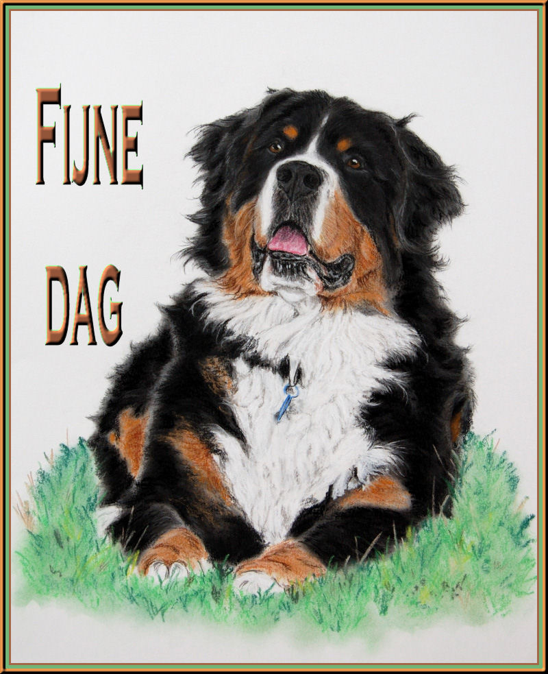 Bernese mountain dog graphics