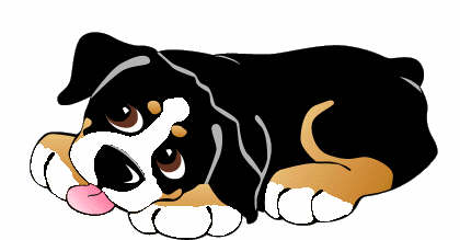 Bernese mountain dog graphics