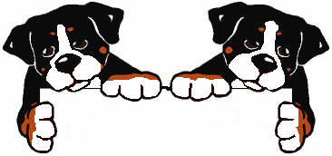 Bernese mountain dog graphics