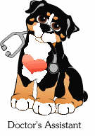 Bernese mountain dog graphics