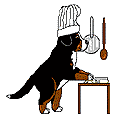 Bernese mountain dog graphics