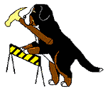 Bernese mountain dog graphics