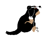 Bernese mountain dog graphics