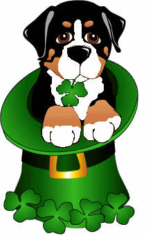 Bernese mountain dog graphics