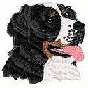 Bernese mountain dog graphics