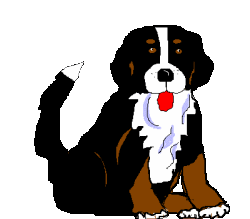Bernese mountain dog graphics