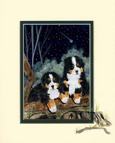 Bernese mountain dog graphics