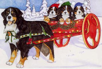 Bernese mountain dog graphics