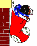 Bernese mountain dog graphics