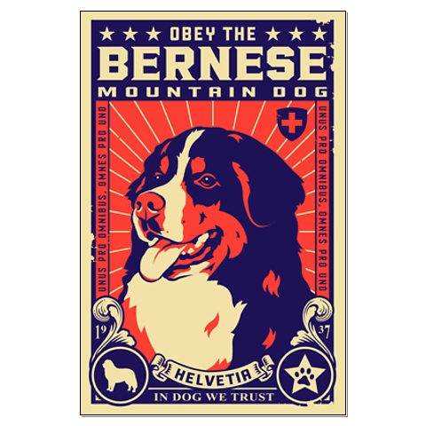 Bernese mountain dog graphics