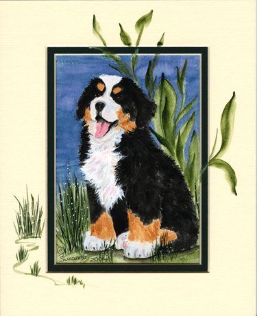 Bernese mountain dog graphics