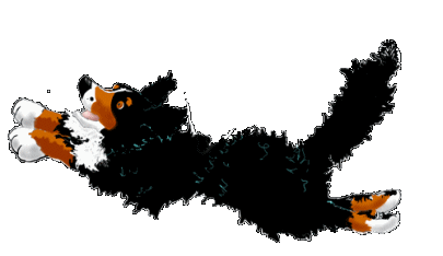 Bernese mountain dog graphics