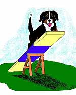 Bernese mountain dog graphics