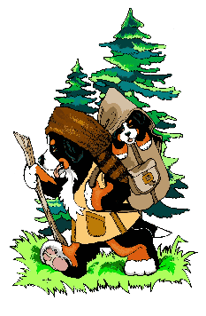 Bernese mountain dog graphics