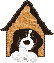 Bernese mountain dog graphics