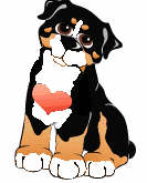 Bernese mountain dog graphics