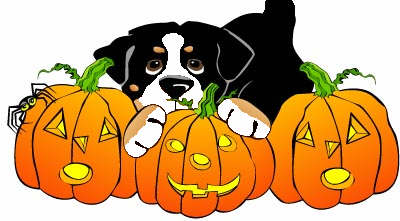 Bernese mountain dog graphics