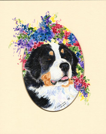 Bernese mountain dog