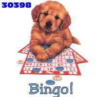 Bingo graphics