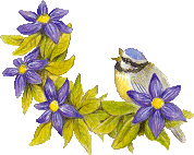 Birds graphics