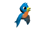 Birds graphics