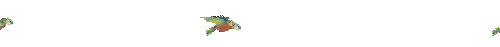 Birds graphics